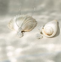 Silver Fossil Shell Set