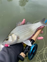 Image 3 of Malibu Barbie Jig