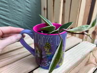 Image 2 of Disney Princess "Woke Up Like This" Mug with Sea Star Hoya