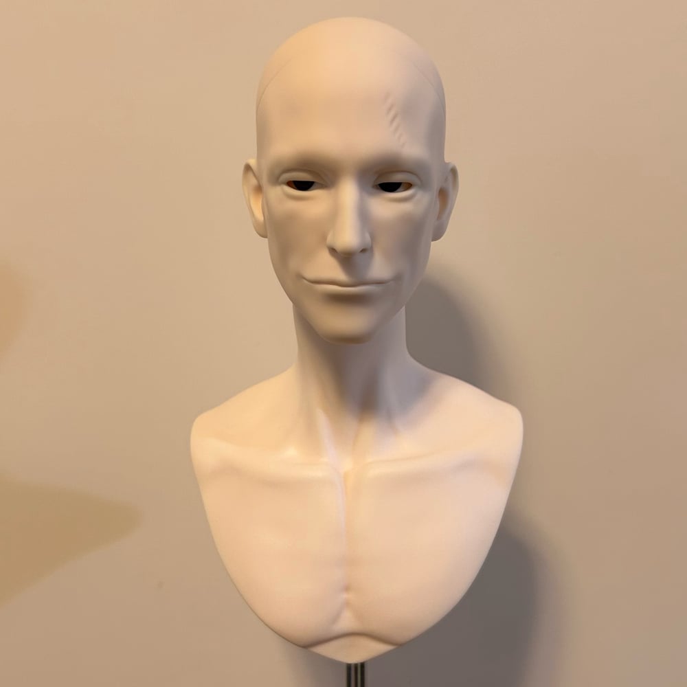 BJD head— “Jed”