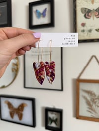 Image 1 of Stained Glass Philodendron