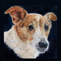 Image 1 of Dogs 1