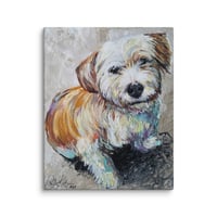 Image 3 of Maltese