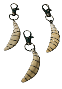 Image 1 of Wire Wrapped Coyote Tooth Keychain