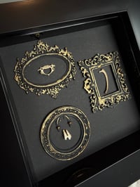 Image 4 of Hedgehog bones/tooth gallery wall