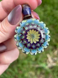 Image 2 of Mountain Daisies