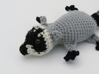 Image 9 of Raccoon Charms