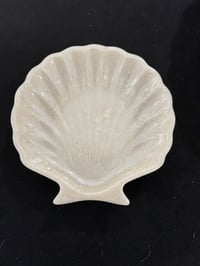 White Clam shell for trinkets