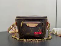 Image 4 of LV Mini Bumbag