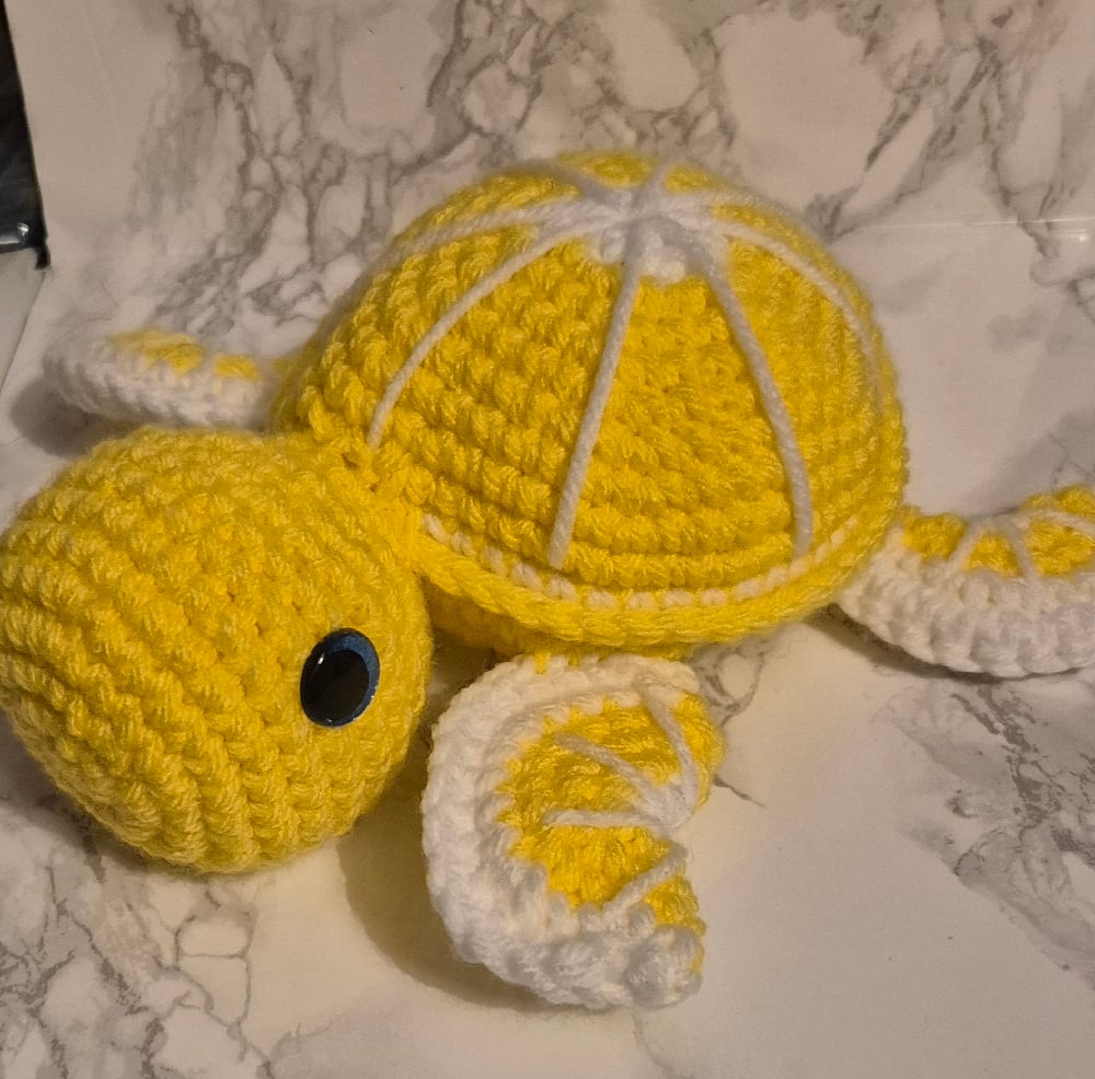 Image of lemon turtle 