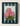 Three Pink Dahlias 