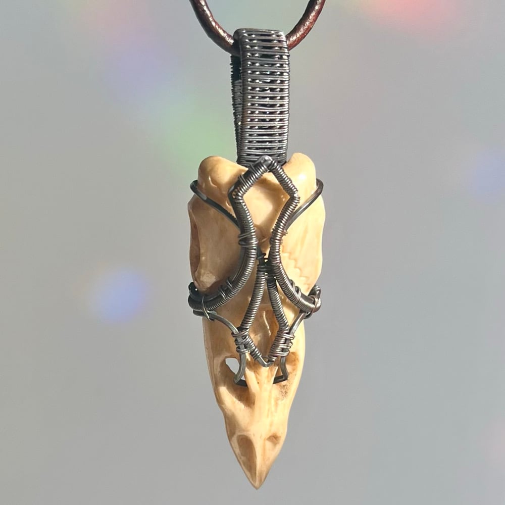 Image of Bone & Coil - Carved Skull Pendant
