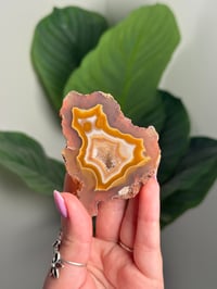 Image 1 of LAGUNA AGATE -MEXICO- B