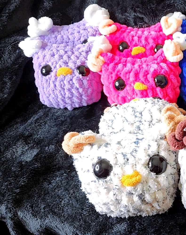 Image of Owls
