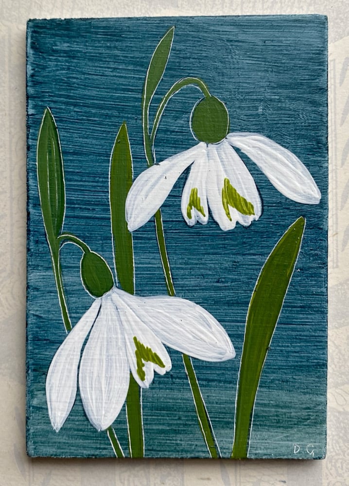 Image of Snowdrop Study (B)