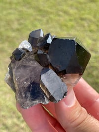 Image 7 of Smoky Quartz Points Cluster #2000