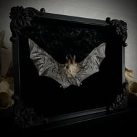 gothic bat frame 
