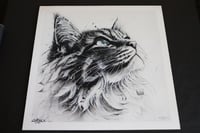 Image 1 of Print "Mooky"