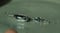 Image of Reserved earrings