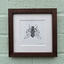 Image 1 of £50 originals - Ladybird , pointillism