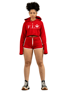 Image of "FLY" Logo 