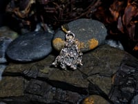 Image 1 of Coral Pendant