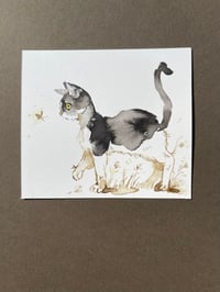 Image 2 of Kitty Cat - Study D
