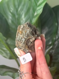 Image 2 of SMALL HALF POLISHED HIMALAYAN RUTILE IN QUARTZ CLUSTERS