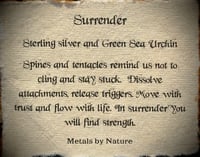 Image 7 of Surrender