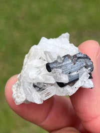Image 5 of Hübnerite & Fine Quartz Points Specimen | Peru #3060