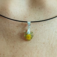 Collier mimosa coeur 