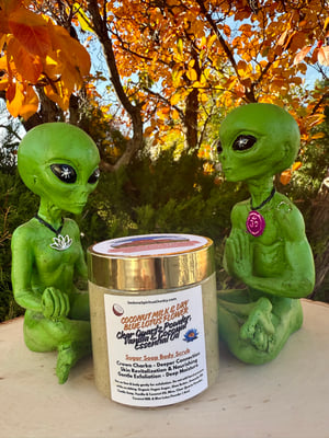 Image of Coconut Milk Sugar Soap Scrub