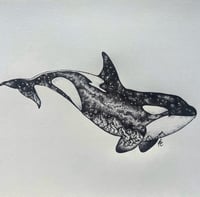 Image 2 of Milkyway Orca 