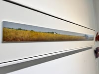 Image 3 of Relic- Bruce Peeso