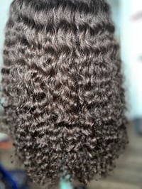 Image 2 of Burmese Mink Curl
