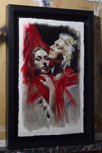 Image 4 of Foxes in the Snow