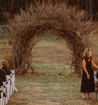 Image 2 of Antebellum Fall Minis Nov 2nd