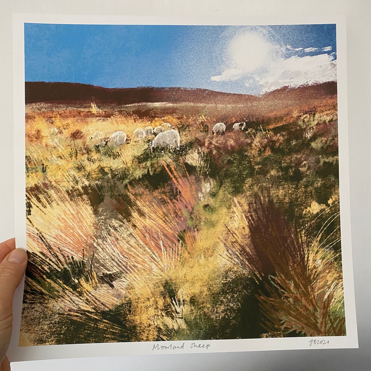 Image of 'Moorland Sheep' Archive Quality Print
