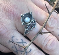 Image 2 of Nest Ring