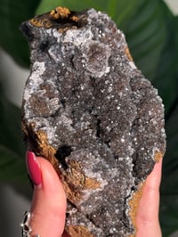 Image 2 of SUGAR DRUZY CHALCEDONY X MANGANESE -MOROCCO- H