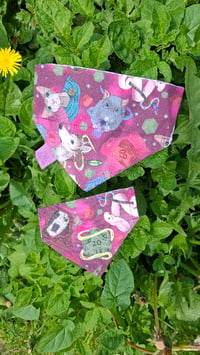 Image 2 of Familiars | Pet Bandana