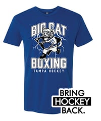 Image 1 of Big Cat Boxing