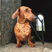 Image 2 of Dachshund squirrel bandana