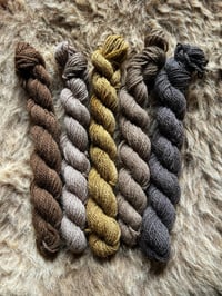Image 2 of Mini Bundle #8 - 100G Hand Dyed Kent Romney Mini Skeins