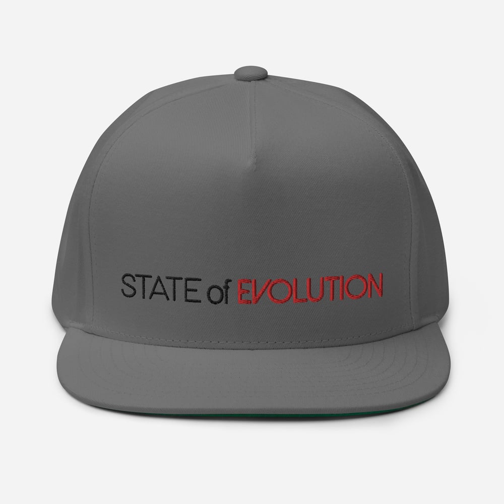 Image of State of Evolution Snap Back  (Gray)