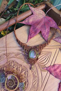 Image 2 of Forest collection🍁