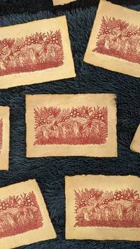 Image 2 of Mushroom Grove