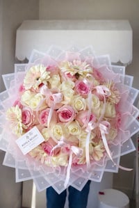 Image 1 of Soft princess 