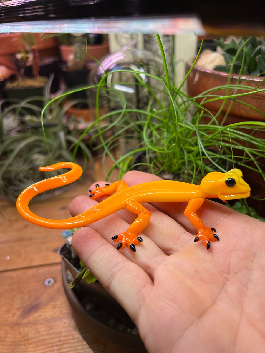Image of Orange & Yellow gecko