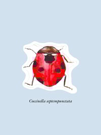Image 17 of Stickers